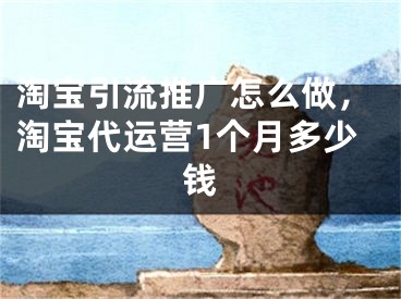 淘寶引流推廣怎么做，淘寶代運(yùn)營(yíng)1個(gè)月多少錢(qián)