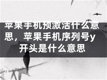 蘋果手機預(yù)激活什么意思，蘋果手機序列號y開頭是什么意思