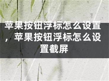 蘋果按鈕浮標(biāo)怎么設(shè)置，蘋果按鈕浮標(biāo)怎么設(shè)置截屏