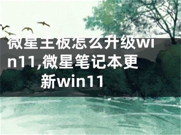 微星主板怎么升級win11,微星筆記本更新win11