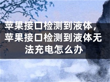 蘋果接口檢測到液體，蘋果接口檢測到液體無法充電怎么辦