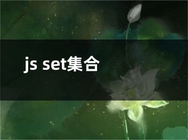 js set集合