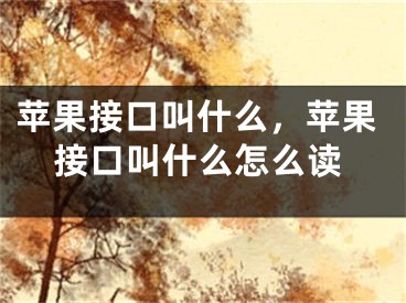 蘋果接口叫什么，蘋果接口叫什么怎么讀