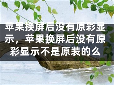 蘋果換屏后沒有原彩顯示，蘋果換屏后沒有原彩顯示不是原裝的么