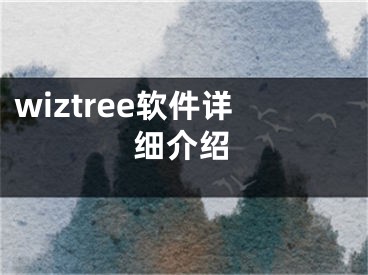 wiztree軟件詳細(xì)介紹