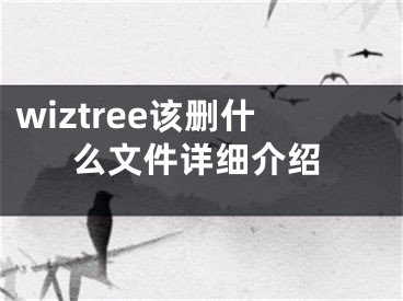 wiztree該刪什么文件詳細(xì)介紹