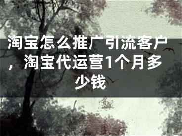 淘寶怎么推廣引流客戶，淘寶代運(yùn)營1個(gè)月多少錢