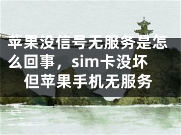 蘋果沒信號無服務(wù)是怎么回事，sim卡沒壞但蘋果手機(jī)無服務(wù)