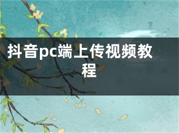 抖音pc端上傳視頻教程