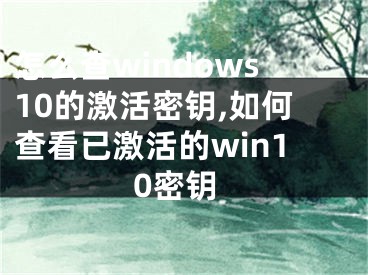 怎么查windows10的激活密鑰,如何查看已激活的win10密鑰