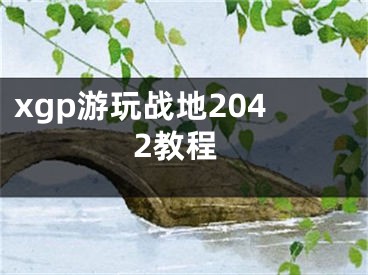 xgp游玩戰(zhàn)地2042教程