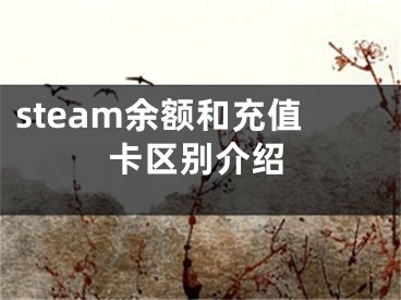 steam余額和充值卡區(qū)別介紹