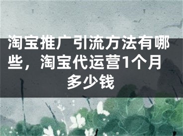 淘寶推廣引流方法有哪些，淘寶代運(yùn)營1個(gè)月多少錢