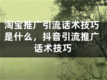 淘寶推廣引流話術(shù)技巧是什么，抖音引流推廣話術(shù)技巧