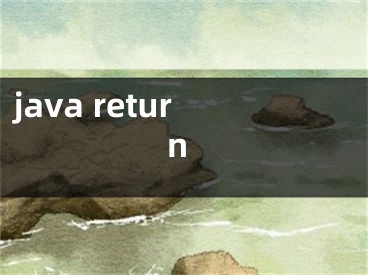 java return