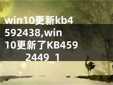 win10更新kb4592438,win10更新了KB4592449_1