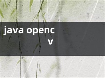 java opencv