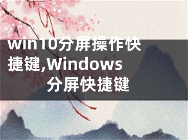 win10分屏操作快捷鍵,Windows 分屏快捷鍵