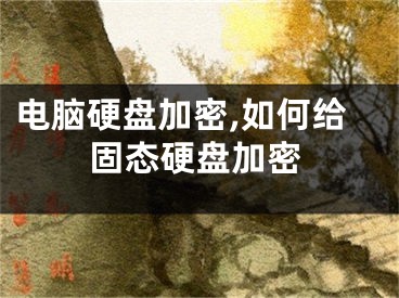 電腦硬盤加密,如何給固態(tài)硬盤加密