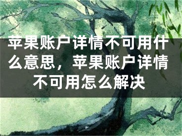 蘋果賬戶詳情不可用什么意思，蘋果賬戶詳情不可用怎么解決