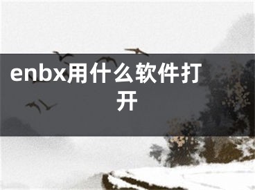 enbx用什么軟件打開