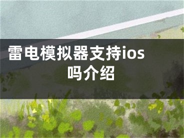 雷電模擬器支持ios嗎介紹