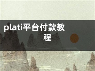 plati平臺(tái)付款教程