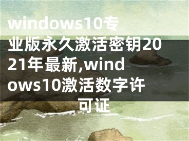 windows10專業(yè)版永久激活密鑰2021年最新,windows10激活數(shù)字許可證