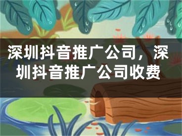 深圳抖音推廣公司，深圳抖音推廣公司收費(fèi)