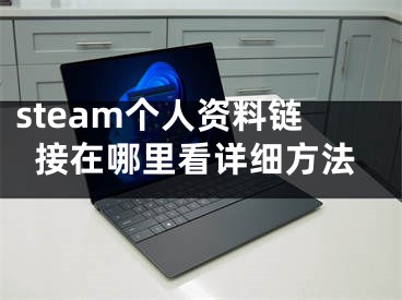 steam個(gè)人資料鏈接在哪里看詳細(xì)方法