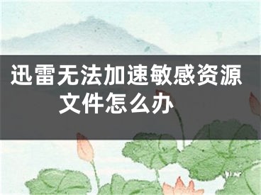 迅雷無法加速敏感資源文件怎么辦 