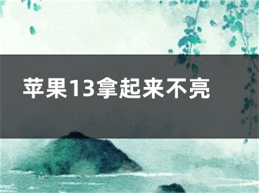 蘋果13拿起來(lái)不亮