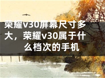 榮耀v30屏幕尺寸多大，榮耀v30屬于什么檔次的手機