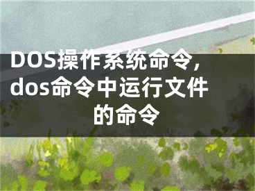 DOS操作系統(tǒng)命令,dos命令中運行文件的命令