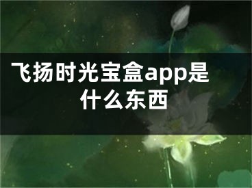 飛揚(yáng)時(shí)光寶盒app是什么東西