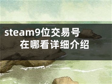 steam9位交易號在哪看詳細介紹