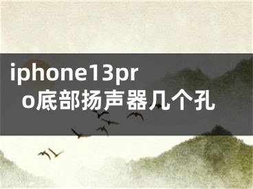 iphone13pro底部揚聲器幾個孔