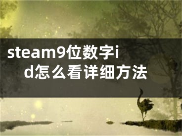 steam9位數(shù)字id怎么看詳細方法