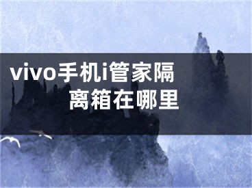 vivo手機i管家隔離箱在哪里