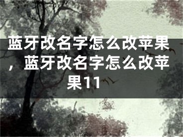 藍(lán)牙改名字怎么改蘋果，藍(lán)牙改名字怎么改蘋果11