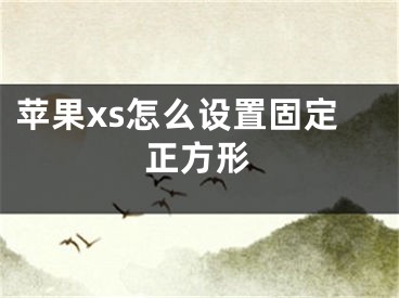 蘋果xs怎么設置固定正方形