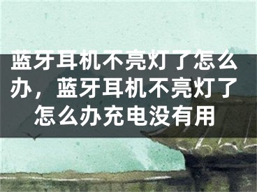 藍(lán)牙耳機(jī)不亮燈了怎么辦，藍(lán)牙耳機(jī)不亮燈了怎么辦充電沒有用