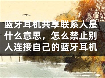 藍(lán)牙耳機(jī)共享聯(lián)系人是什么意思，怎么禁止別人連接自己的藍(lán)牙耳機(jī)