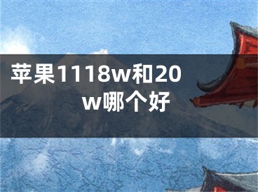 蘋果1118w和20w哪個好