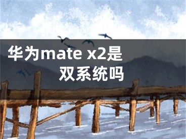 華為mate x2是雙系統(tǒng)嗎