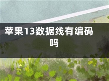 蘋果13數(shù)據(jù)線有編碼嗎