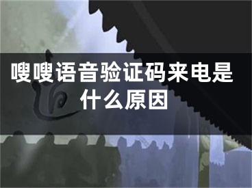 嗖嗖語(yǔ)音驗(yàn)證碼來(lái)電是什么原因