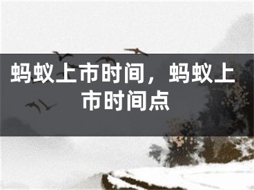 螞蟻上市時(shí)間，螞蟻上市時(shí)間點(diǎn)