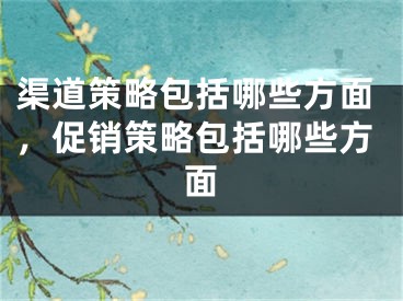 渠道策略包括哪些方面，促銷策略包括哪些方面