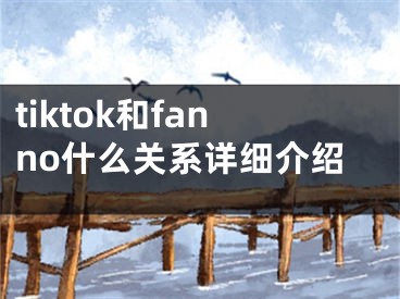 tiktok和fanno什么關(guān)系詳細(xì)介紹